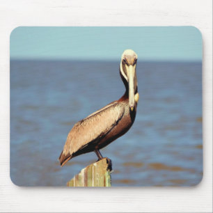 Pelikan 4.jpg Louisianas Brown Mousepad