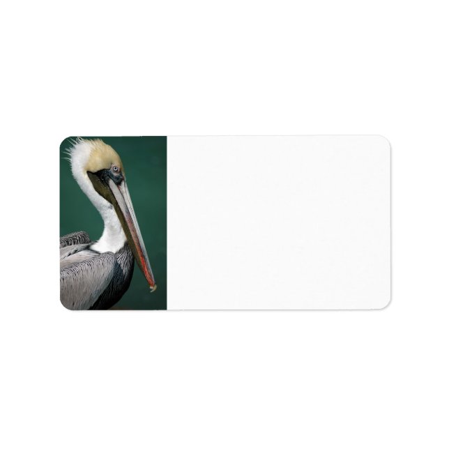 Pelikan Adressaufkleber (Vorne)