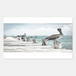 Pelikan an der Küste Rechteckiger Aufkleber