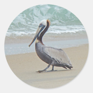 Pelikan auf äußeren Banken OBX NC Runder Aufkleber