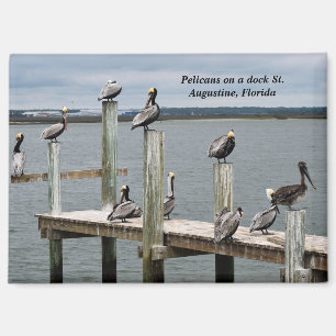 Pelikan auf einem Dock Magnet