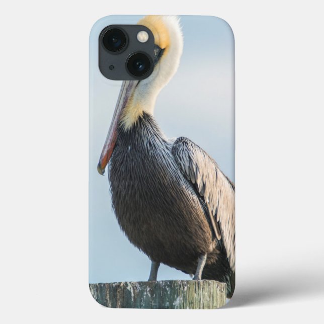 Pelikan auf Pylon Case-Mate iPhone Hülle (Rückseite)