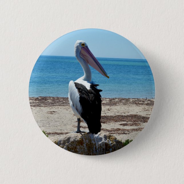 Pelikan auf Strandfelsen, Button (Vorderseite)