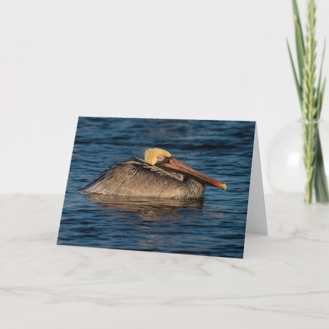 Pelikan-Erholung im Wasser Karte (Vorderseite)