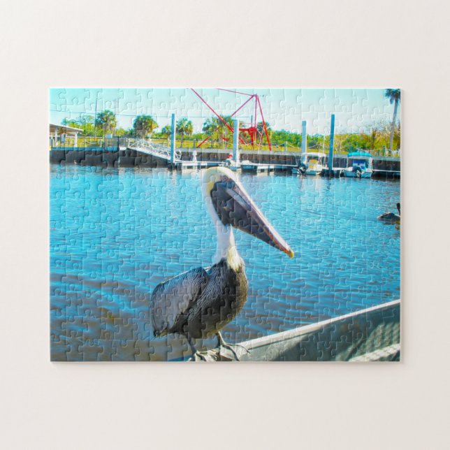 Pelikan Florida (Horizontal)