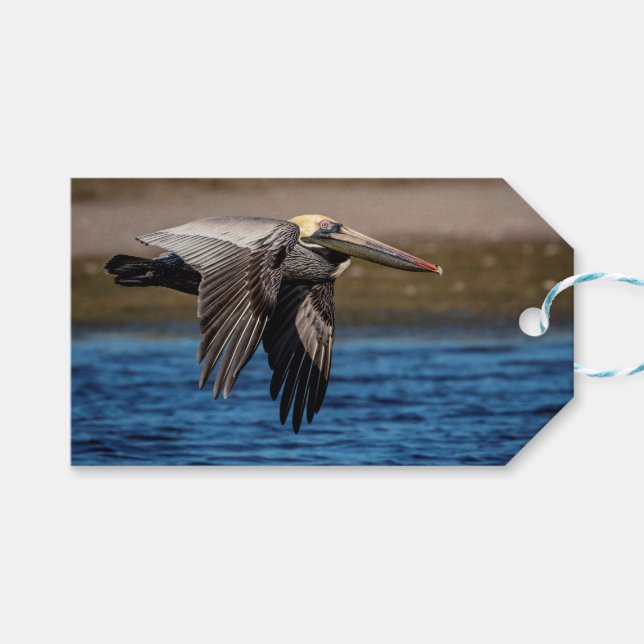 Pelikan Geschenkanhänger (Vorderseite (Horizontal))