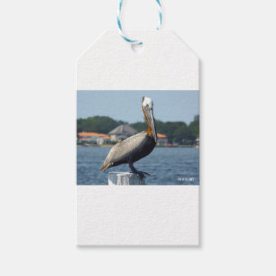 PELIKAN GESCHENKANHÄNGER