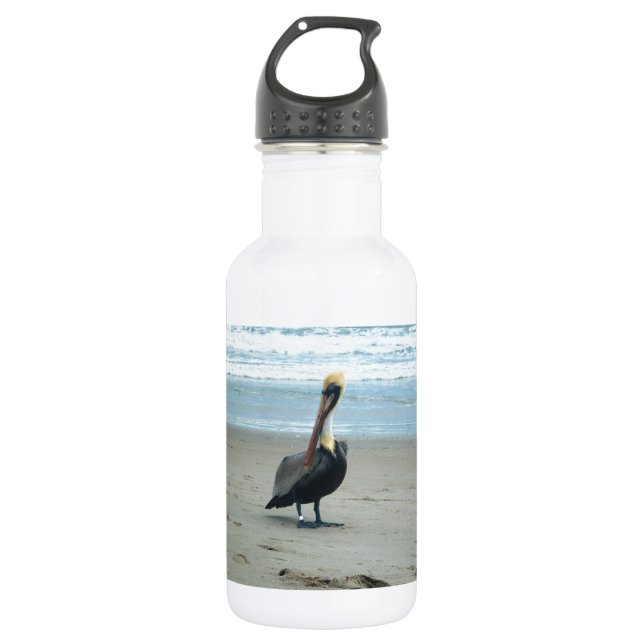 Pelikan in Florida Trinkflasche (Vorderseite)