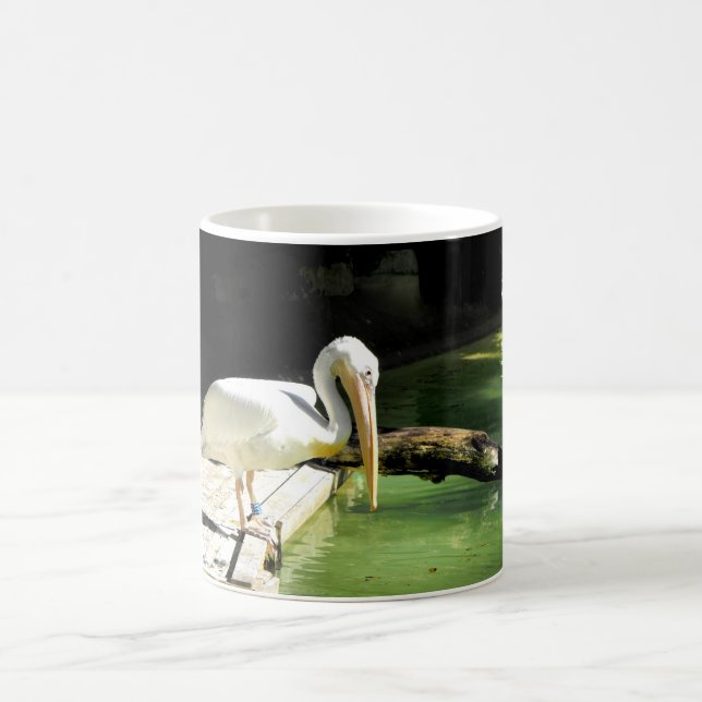 Pelikan in Spanien Kaffeetasse (Mittel)