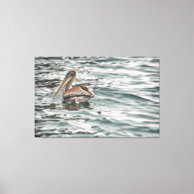 Pelikan in Wasser Leinwanddruck (Vorderseite)