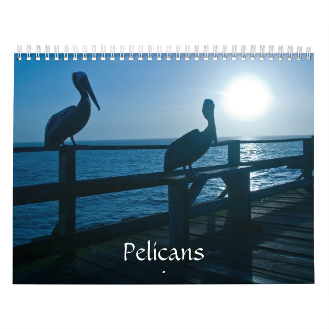 Pelikan-Kalender Kalender (Titelbild)