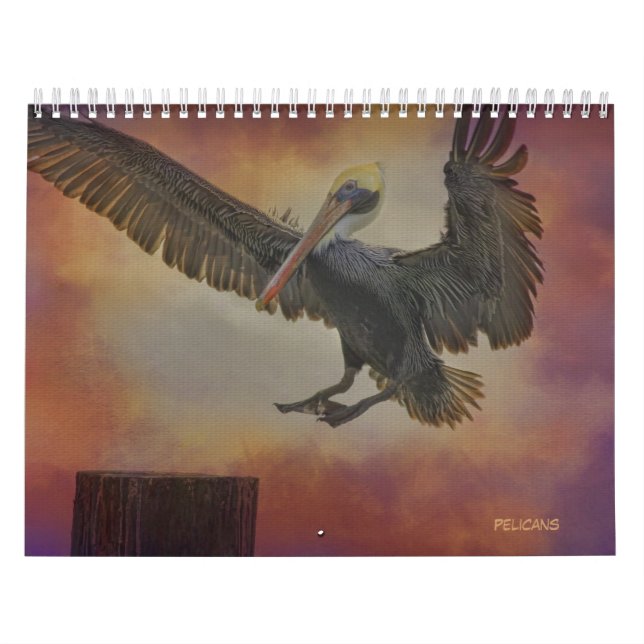 Pelikan-Kalender Kalender (Titelbild)