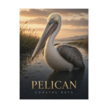 Pelikan-Küstenvögel-Wildlife-TIER