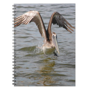 Pelikan-Landung im WasserNotebook Notizblock