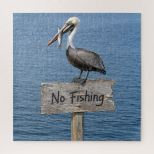 Pelikan mit Fisch auf einem Schild "Fischen verbot