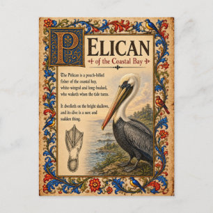 Pelikan, mittelalterliche Bestiarien-Kunst Postkarte