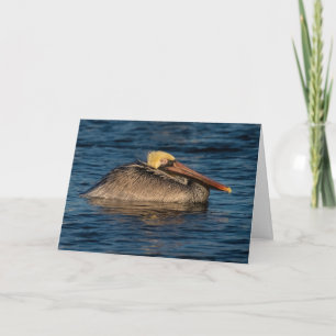 Pelikan-Ruhepause im Wasser-Grußkarte Karte