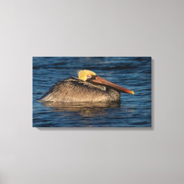 Pelikan-Ruhepause in Wasserkanvas Print Leinwanddruck