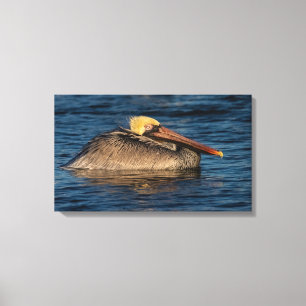 Pelikan-Ruhepause in Wasserkanvas Print Leinwanddruck