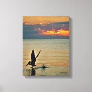 Pelikan starten bei Sonnenuntergang Golf Coast Flo Leinwanddruck