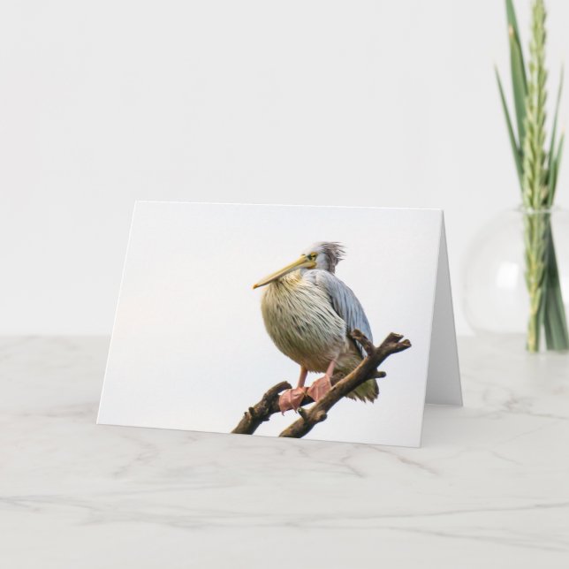 Pelikan, Tansania Karte (Vorderseite)