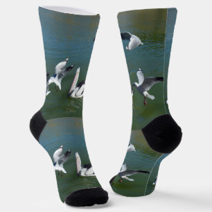 Pelikan und die ungebetenen Gäste, Socken