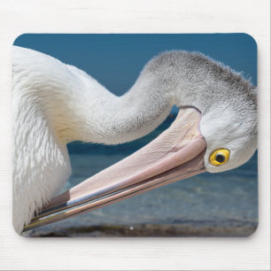pelikan, vogel, australisches pelikan mousepad