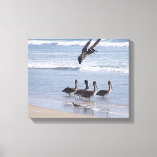 Pelikan-Vogel-Tier-Tier-Ozean Leinwanddruck