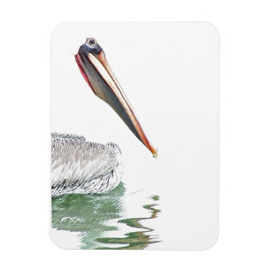 Pelikan-Vogel-Tier-Tier-Strand Magnet