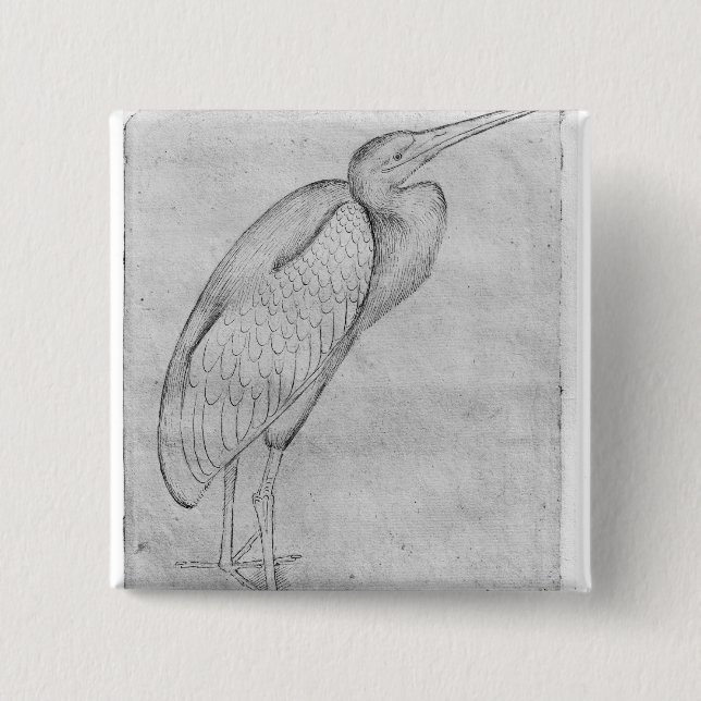 Pelikan, vom Vallardi Album Button (Vorderseite)