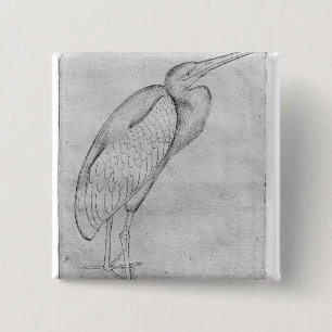 Pelikan, vom Vallardi Album Button