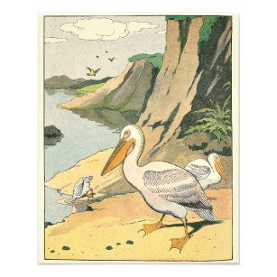 Pelikane am Strand Illustriert Fotodruck