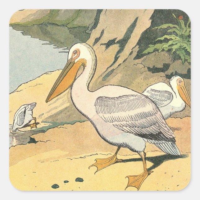 Pelikane am Strand Illustriert Quadratischer Aufkleber (Vorderseite)