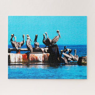 Pelikane am Ufer, Jigsaw Puzzle