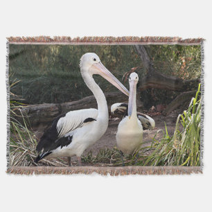 Pelikane am Zoo Decke