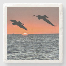 Pelikane an den Sunset Drink Coastes