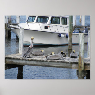 Pelikane auf dem Dock Poster