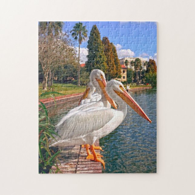 Pelikane aus Florida. (Vertikal)