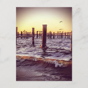 Pelikane bei Sonnenuntergang über der Bucht Postkarte