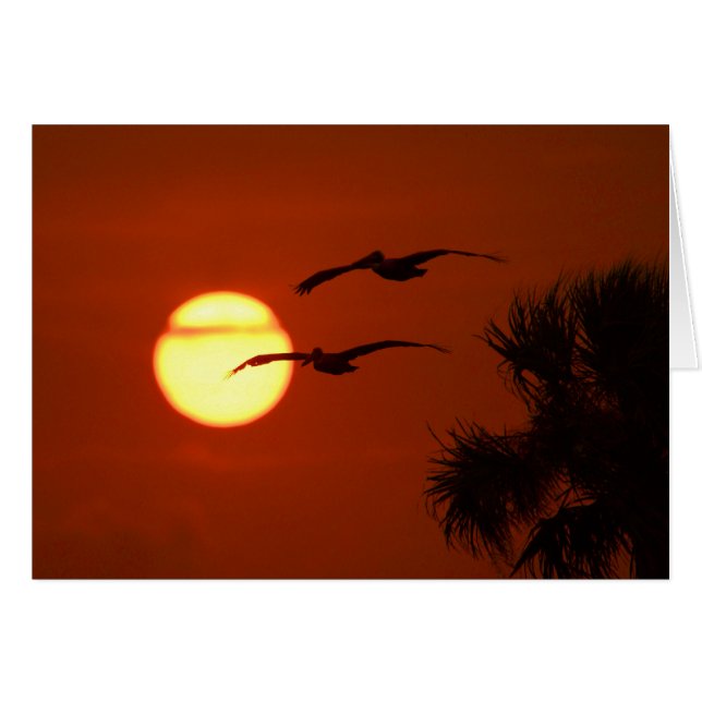 Pelikane bei Sunset Blank Foto Grußkarte (Vorderseite (Horizontal))