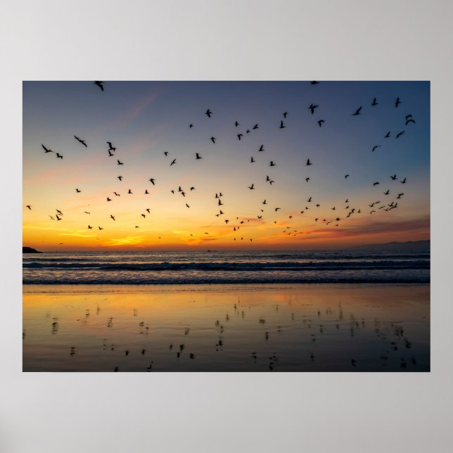 Pelikane bei Sunset - Venice Beach, CA Poster (Vorne)