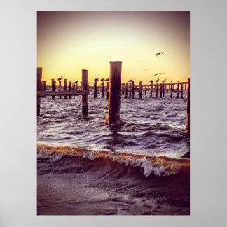 Pelikane in der Bucht Poster