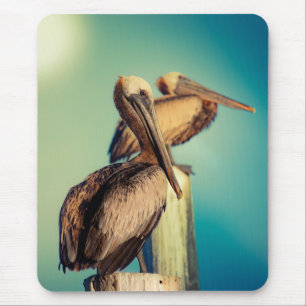 Pelikane in der Morgendämmerung Mousepad