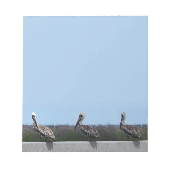 Pelikane Notizblock (Vorderseite)