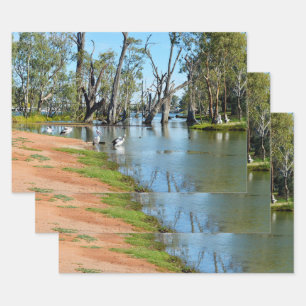 Pelikane sonnenbaden River Murray, Geschenkpapierb Geschenkpapier Set
