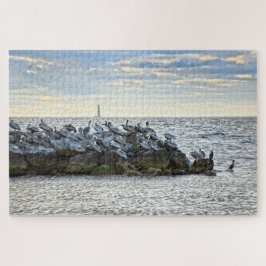 "Pelikane und der Leuchtturm, Dauphin Island, AL