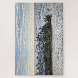 "Pelikane und der Leuchtturm, Dauphin Island, AL