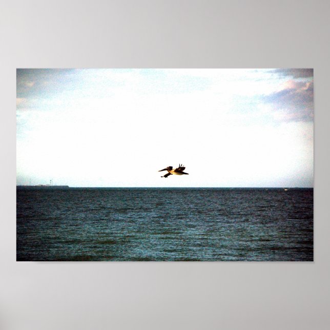 Pelikanflug Poster (Vorne)