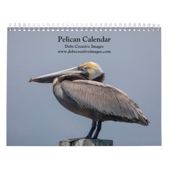 Pelikanischer Kalender 2026 (Titelbild)