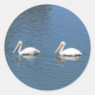 Pelikanpaar-Schwimmenaufkleber Runder Aufkleber